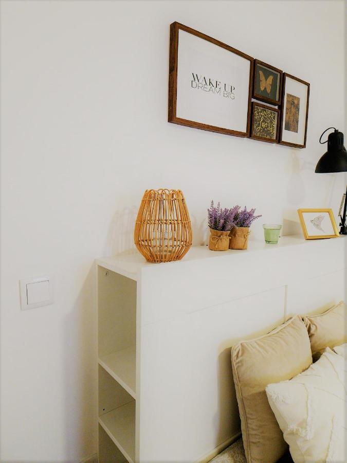 Charming Pedra Apartment Брага Екстериор снимка